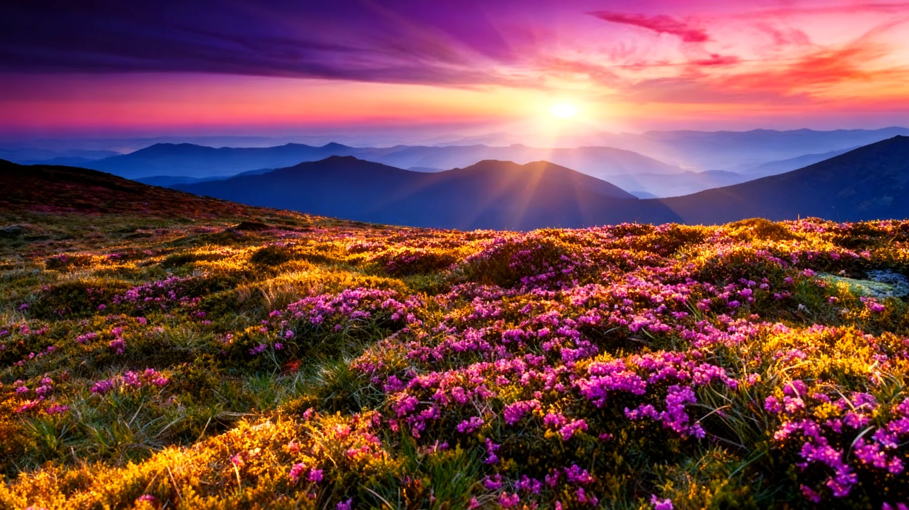 Beautiful 2026-01-28T22:34:41.700Z"