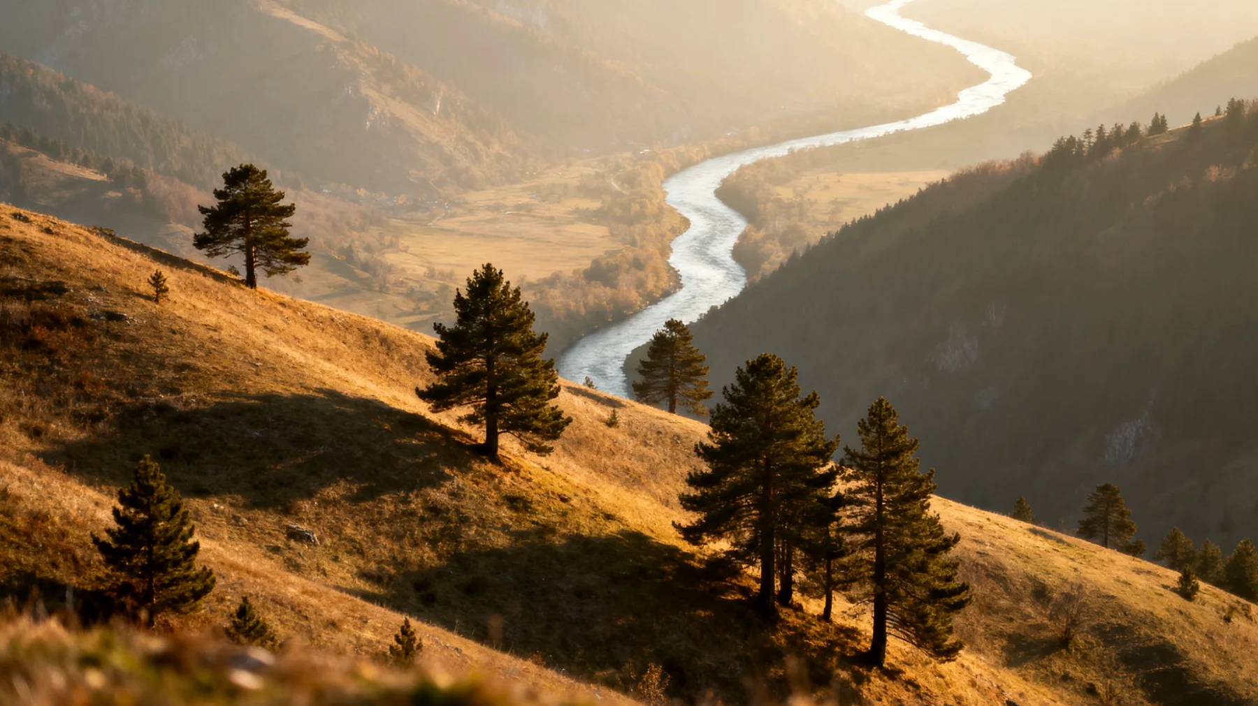 Parco Nazionale di Tara"